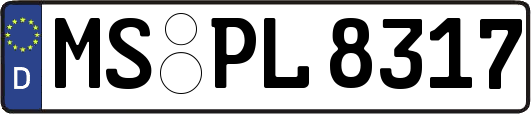 MS-PL8317