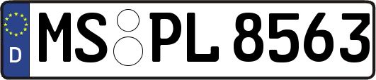 MS-PL8563