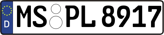 MS-PL8917
