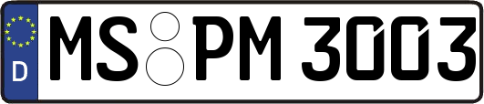 MS-PM3003