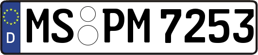 MS-PM7253