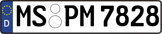 MS-PM7828