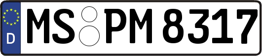 MS-PM8317
