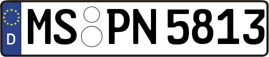 MS-PN5813