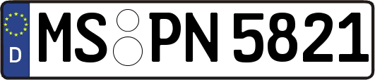 MS-PN5821