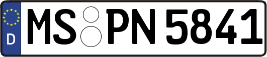 MS-PN5841
