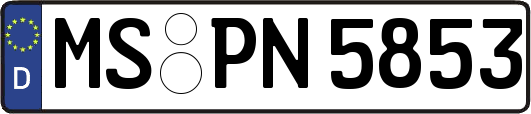 MS-PN5853