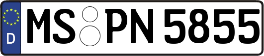 MS-PN5855