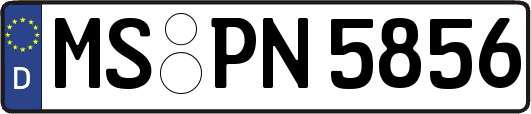 MS-PN5856