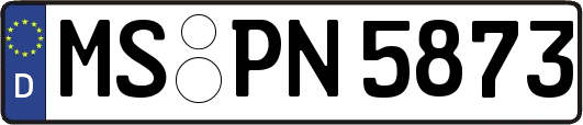 MS-PN5873