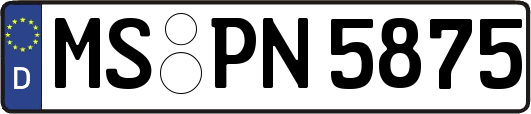 MS-PN5875