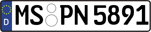 MS-PN5891