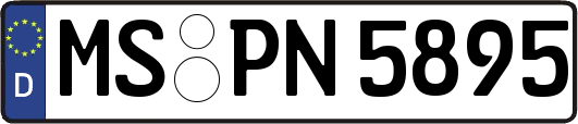 MS-PN5895