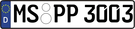 MS-PP3003