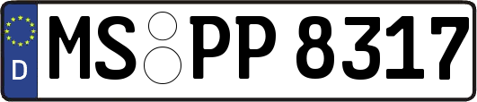 MS-PP8317