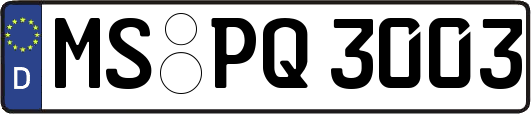 MS-PQ3003