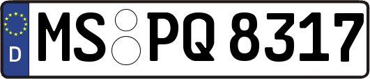 MS-PQ8317