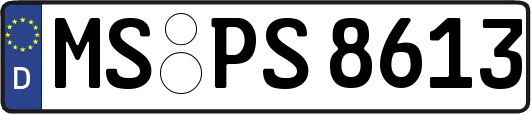 MS-PS8613