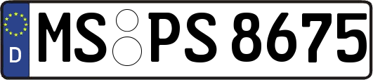 MS-PS8675