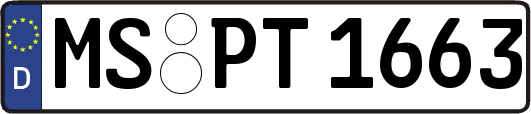MS-PT1663