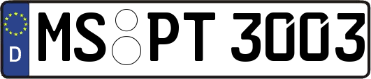 MS-PT3003