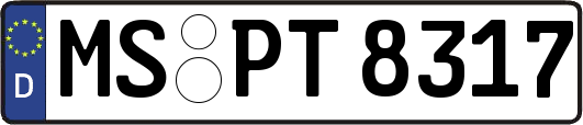 MS-PT8317