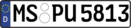 MS-PU5813