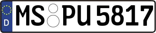 MS-PU5817
