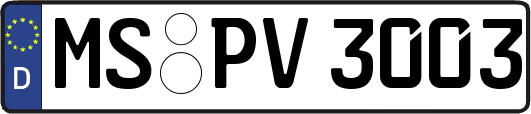 MS-PV3003