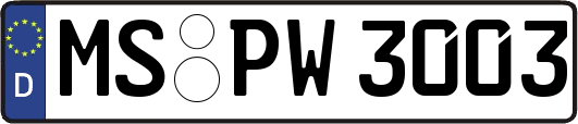MS-PW3003