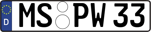 MS-PW33