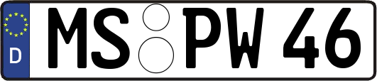 MS-PW46
