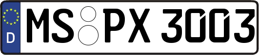 MS-PX3003