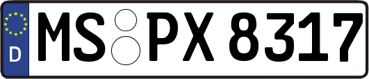 MS-PX8317