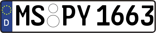 MS-PY1663