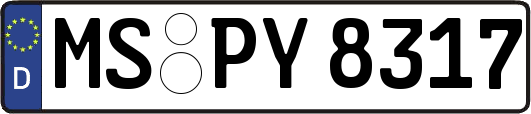 MS-PY8317