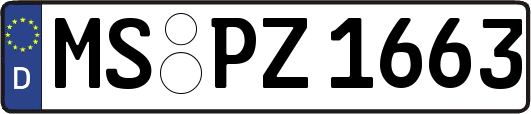 MS-PZ1663