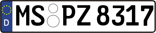 MS-PZ8317
