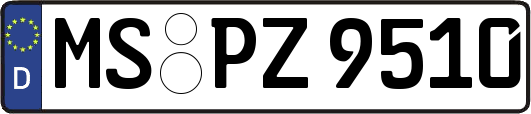 MS-PZ9510