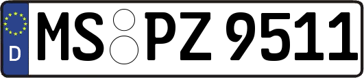 MS-PZ9511