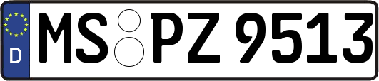 MS-PZ9513
