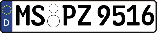 MS-PZ9516