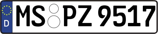 MS-PZ9517