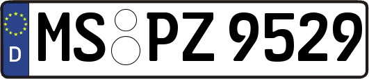 MS-PZ9529