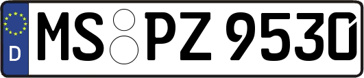 MS-PZ9530