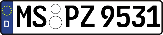MS-PZ9531