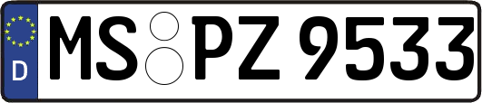 MS-PZ9533
