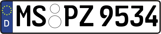 MS-PZ9534