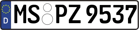 MS-PZ9537