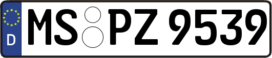 MS-PZ9539